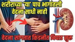तुमच्या शरीराच्या ‘या’ ५ भागांत वेदना होत असतील तर समजा किडनी खराब व्हायला सुरुवात झालीये; वेळीच ओळखा धोका, नाहीतर…