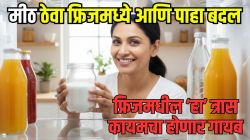 फ्रिजमध्ये मीठ ठेवा; तुमची ‘ही’ मोठी समस्या होईल कायमची दूर, या सोप्या जुगाडाने वाचेल त्रास आणि खूप पैसे, पाहा VIDEO