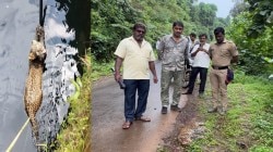 कोकणात बिबट्यांची दहशत; रत्नागिरी जिल्ह्यात बिबट्यांचा नागरी वस्तीत वावर वाढला