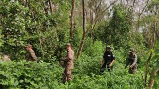 Leopard attacks in villages around Nashik Road