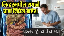 कधीच होणार नाही लिव्हर खराब! दारूच्या हानीपासून बचाव करणारे फक्त ‘हे’ ४ पेय प्या; लिव्हरमधील सगळी घाण झटक्यात निघेल बाहेर