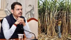महायुतीचा अजब निर्णय! पूरग्रस्तांच्या मदतीसाठी शेतकऱ्यांकडूनच वसूली; ऊसासाठी प्रतिटन १५ रुपये कपात