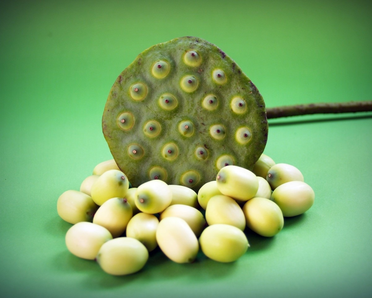 Makhana English Name Making Process
