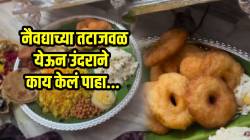 “बाप्पाने त्याच्या सहकाऱ्याला पाठवलं” नैवद्याच्या तटाजवळ येऊन उंदराने काय केलं पाहा; VIDEO पाहून वाटेल नवल