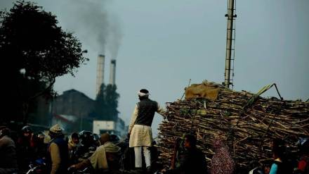 Nanded Bhaurao Chavan Sugar Factory draws attention of concerned parties