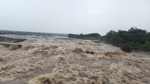 Nashik and Ahilyanagar complete Jayakwadi water needs
