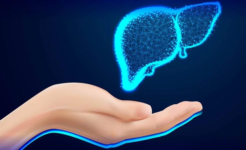 the easiest way to reduce liver fat which foods should you eat