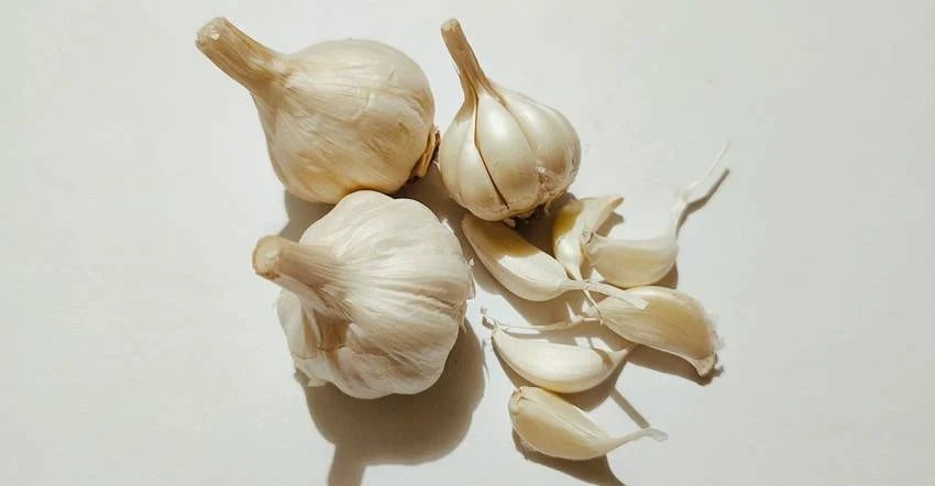 the easiest way to reduce liver fat which foods should you eat