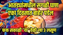 आतड्यांमधील सगळी घाण एका दिवसात बाहेर पडेल; अपचनही होणार नाही, फक्त दररोज ‘या’ वेळी खा ३ लसूण