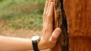 Touch Wood