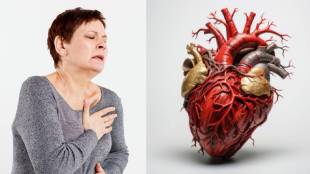 hearth cancer