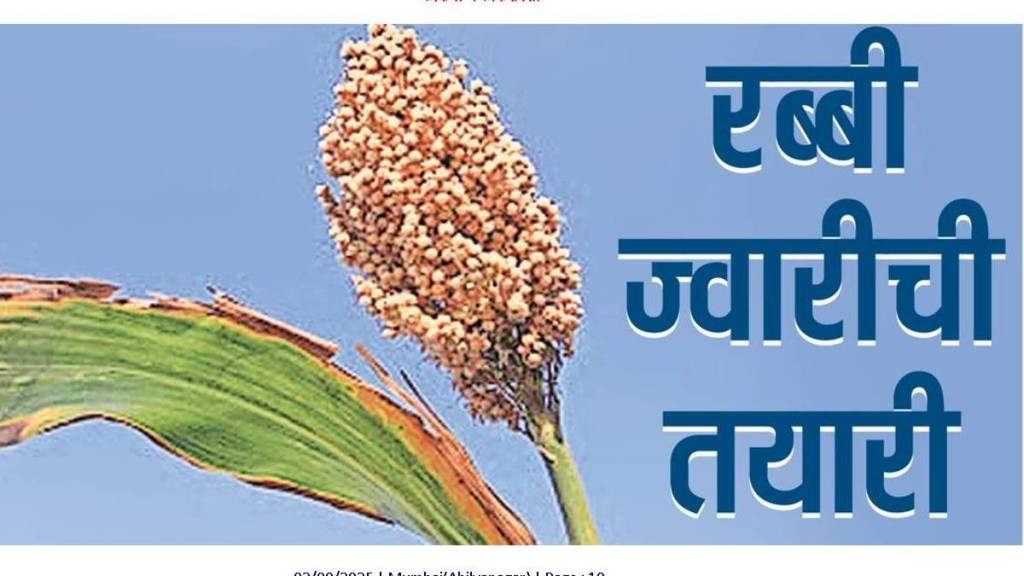 rabi crops jowar