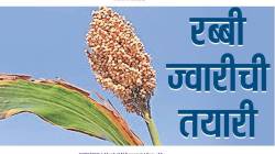 लोकशिवार : रब्बी ज्वारीची तयारी