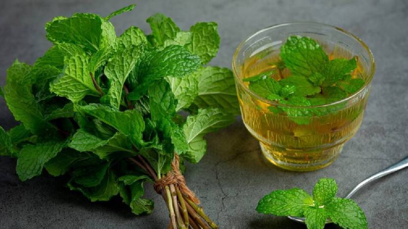 herbal teas good for kidney health