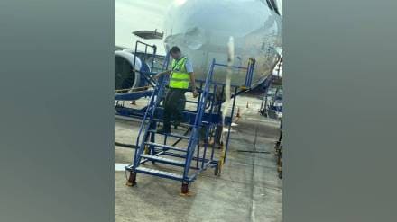 IndiGo Flight Bird Hit Today in Marathi
