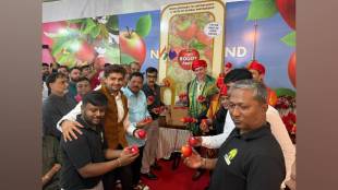 New Zealands premium Rouge apples enter India available at vashi APMC fruit market