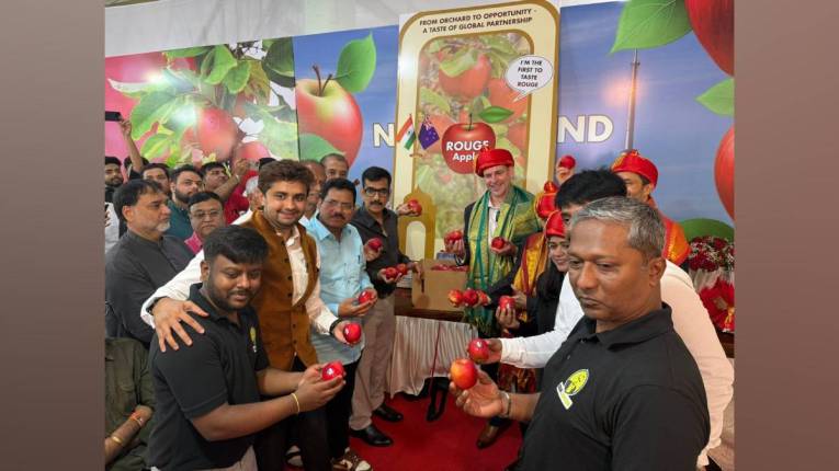 वाशी एपीएमसीत पहिल्यांदाच न्यूझीलंडचे ‘रूज’ सफरचंद दाखल