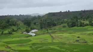 lendi dam in Jawhar news