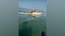 ​मालवणच्या समुद्रात बेकायदेशीर मासेमारी करणाऱ्या तीन रत्नागिरीच्या ट्रॉलर्सवर कारवाई