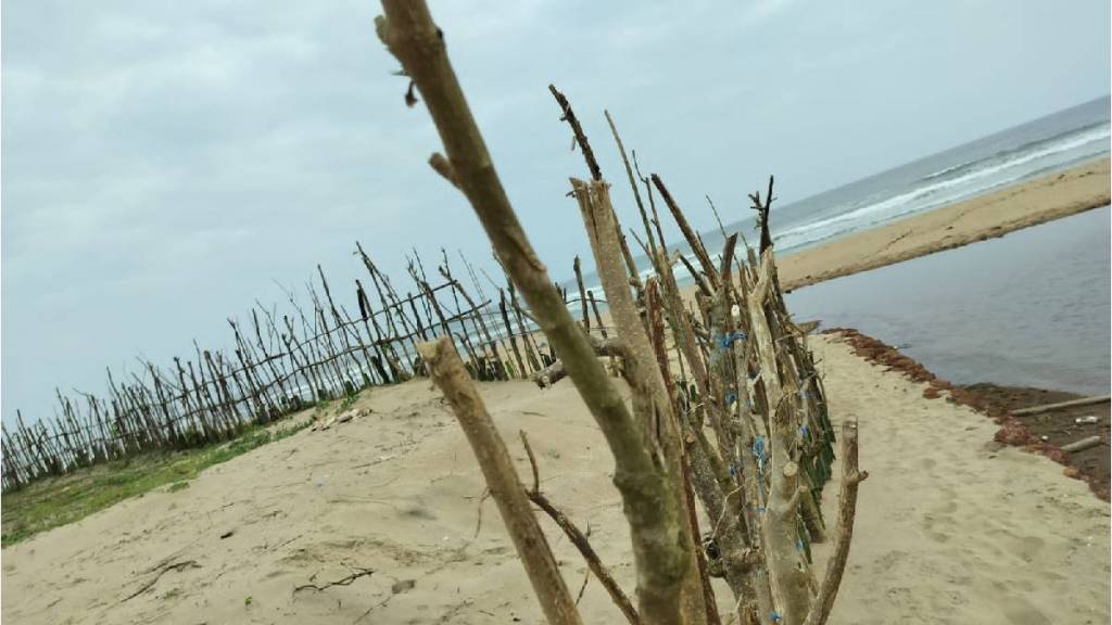controversial land case Wayangani threatens turtle beach