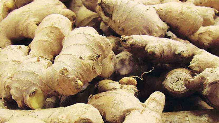 How to store ginger
