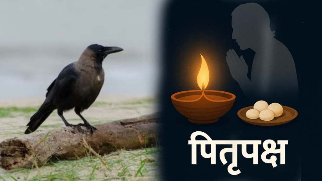 Pitru Paksha 2025