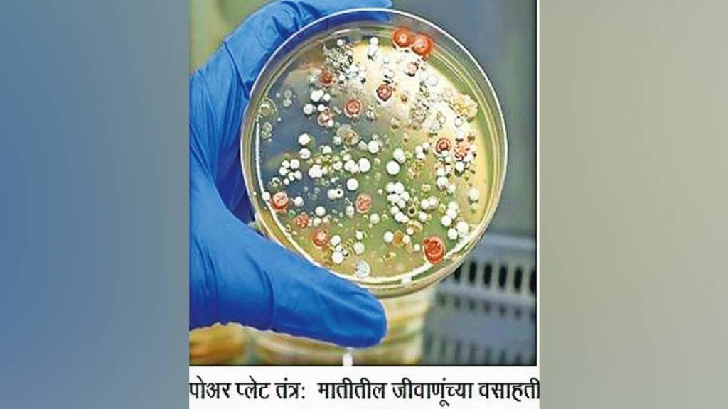 bacteria counting methods, environmental microbiology, microbial quantification, biotech microorganism analysis, soil bacteria testing,