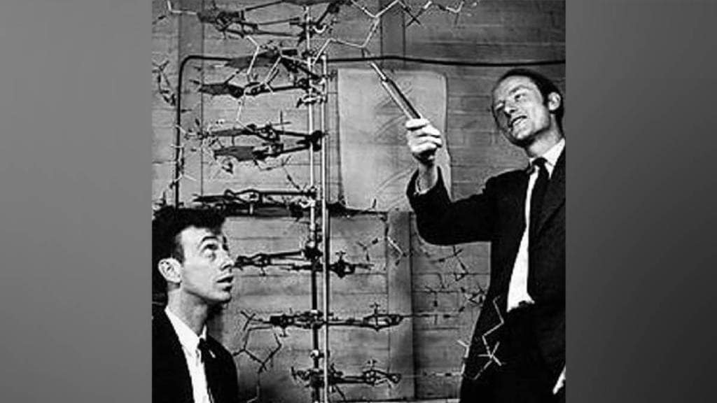 DNA discovery, double helix structure, Johann Friedrich Miescher, Watson and Crick DNA, human genome project, nucleic acids research,