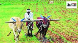 विश्लेषण : हंगामाच्या प्रारंभालाच शेतकरी आत्महत्या का वाढल्या? विदर्भात प्रमाण अधिक का?