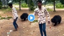 बापरे! रिल बनवण्यासाठी तरुणानं चक्क अस्वालाला पाजलं कोल्ड ड्रिंक; पुढे काय झालं तुम्हीच पाहा, VIDEO होतोय व्हायरल