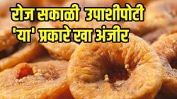 गॅसची समस्या कायमची बंद, हॉर्ट अटॅकचा धोकाही होणार कमी; फक्त रोज सकाळी उठून उपाशीपोटी ‘या’ प्रकारे खा अंजीर