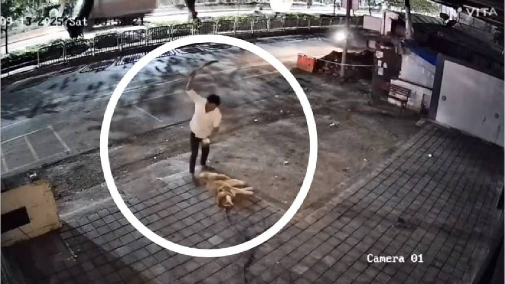 dog brutally beaten to death with wooden stick in Pimpri Chinchwad