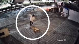 dog brutally beaten to death with wooden stick in Pimpri Chinchwad