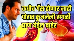 कधीच गॅस होणार नाही, पोटात कुजलेली सगळी घाण येईल बाहेर; आठवड्यातून एकदा फक्त ‘ही’ फळं खा
