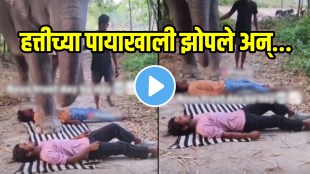 Shocking video boys laid down in front of elephant so that he can walk funny viral video