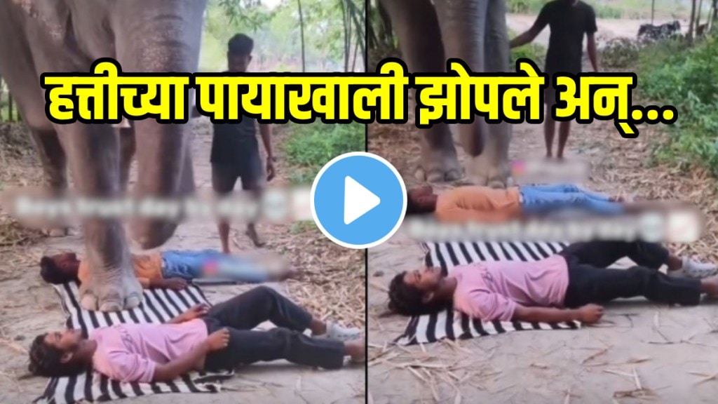 Shocking video boys laid down in front of elephant so that he can walk funny viral video
