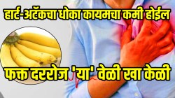 हार्ट अटॅकचा धोका कायमचा कमी होईल; फक्त दररोज ‘या’ वेळी खा केळी, चाळिशीनंतरही तुमचे हृदय राहील निरोगी