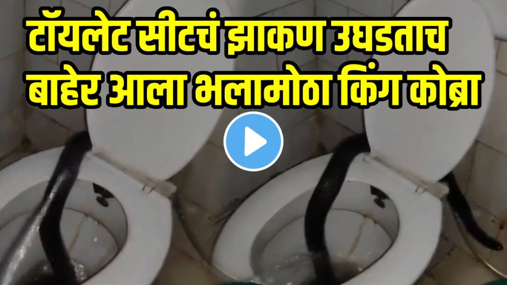 Shocking video Cobra Found On Toilet Seat In JK Lone Hospital Hostel In Kota