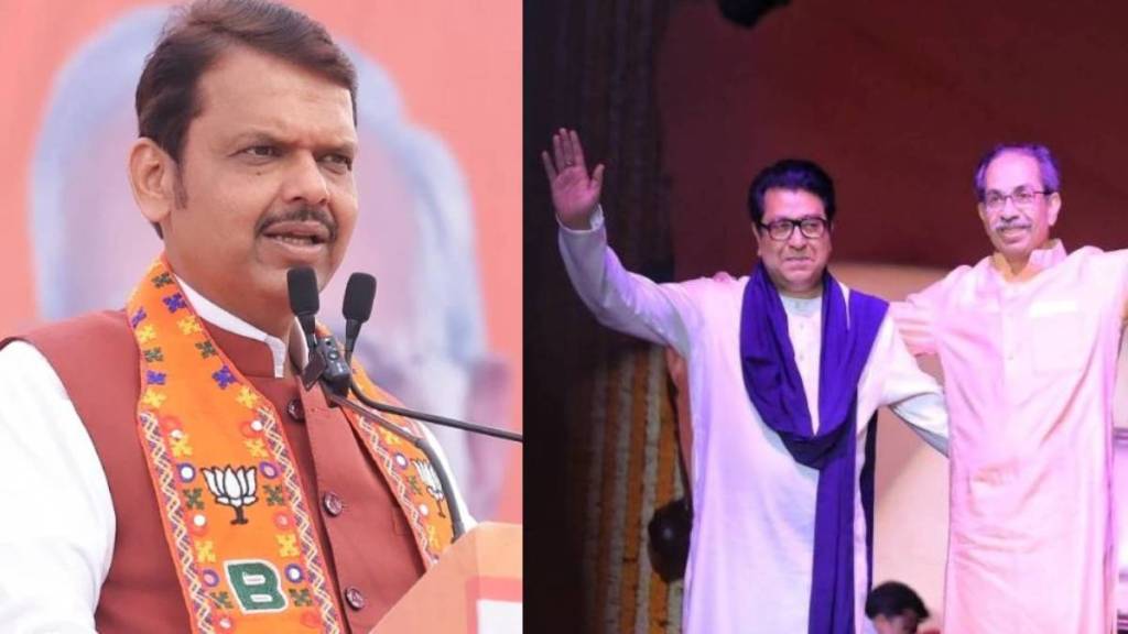 Devendra Fadnavis On Uddhav and Raj Thackeray