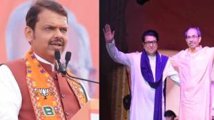 Devendra Fadnavis On Uddhav and Raj Thackeray