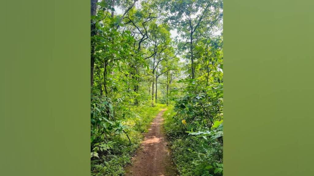 Vasai Power project tungareshwar forest land adani Group environmentalists oppose