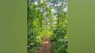 Vasai Power project tungareshwar forest land adani Group environmentalists oppose