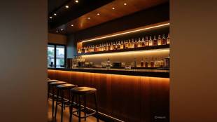 Ulhasnagar bar raids, illegal dance bars Ulhasnagar, police action on bars, female waiters bars,