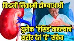 किडनी निकामी होण्याआधी युरीक अॅसीड वाढल्याचं शरीर देतं ‘हे’ संकेत; वेळीच ओळखा अन् करा डॉक्टरांनी सांगितलेले हे सोपे उपाय