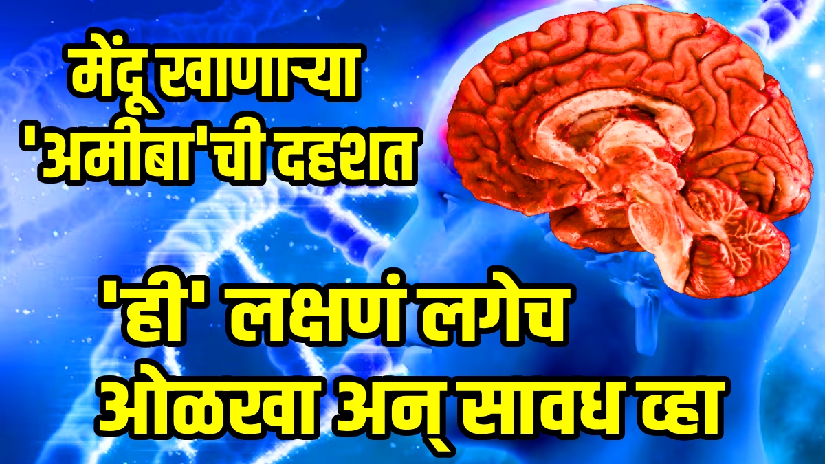 केरळमध्ये मेंदू खाणाऱ्या अमीबा’ची दहशत; १९ जणांचा जीव गेला; ‘ही’ लक्षणं दिसली तर लगेच डॉक्टरकडे जा, संसर्गापासून कसं वाचणार?