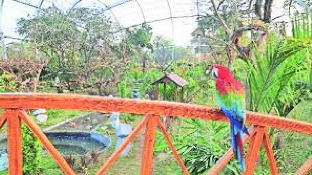 thane Kolshet area decided to build an aviary
