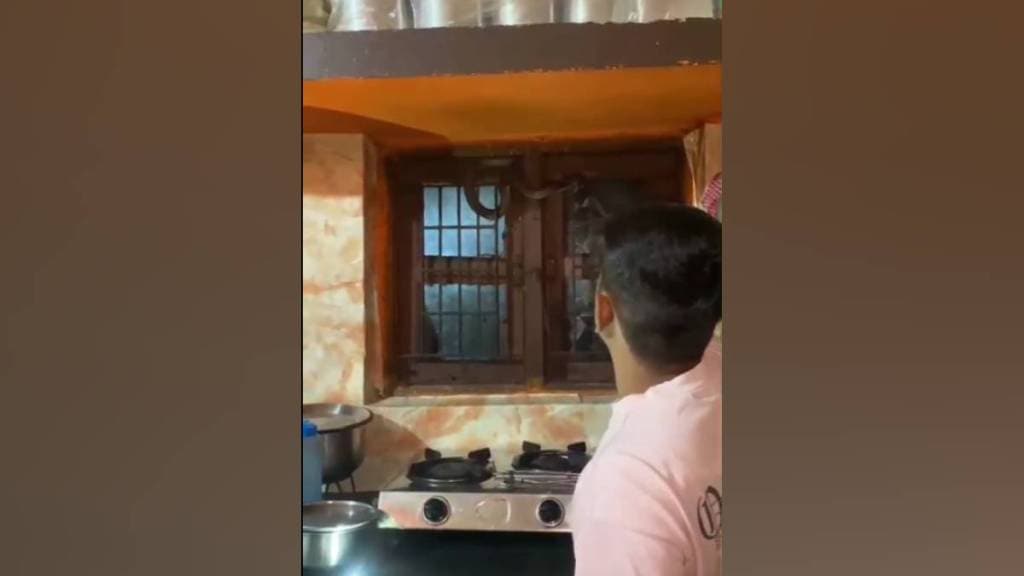 Nagpur poisonous snake in kitchen