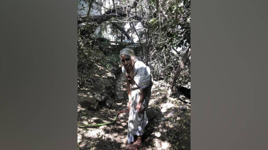 Hema Sane passed away, Senior botanist Dr Hema Sane , Hema Sane latest news,
