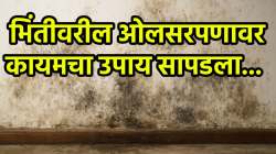 पावसाळ्यामुळे घराच्या भिंतीवर ओलसरपणा वाढतोय? ‘या’ सोप्या उपायाने समस्येतून कायमची होईल सुटका