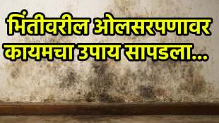 Permanent solution for damp walls